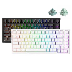 Akko TAC75 HE 75% Wired Shine-Through RGB Magnetic Keyboard