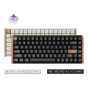 Keychron K2 HE Special Edition RGB Magnetic Switch Hot-Swappable Wireless Mechanical Keyboard (Gateron Double-Rail Magnetic Switch)