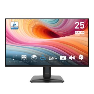 MSI Pro MP251 E2 Series 24.5