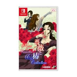 Nintendo Switch Rose & Camellia Collection [ASI]