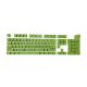 104 Keys PBT Double Shot Keycaps [Mint Green]