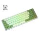Aula F3068 Dual-Mode  Hot-Swappable TKL Mechanical Keyboard White Green [Blue]