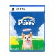 PlayStation PS5 My Little Puppy [R3]