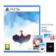 PlayStation PS5 Gris Deluxe Edition [R2]