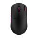 Pulsar Pro Series Susanto-X Medium Esports Gaming Mouse (PSSTX21) Black