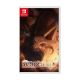 Nintendo Switch Staffer Retro Memories of Superpowers [ASI]