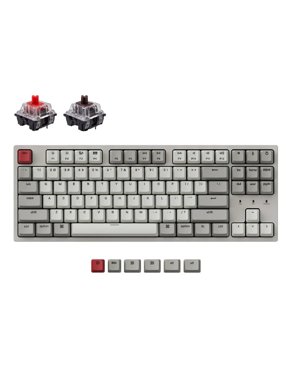 main product photo