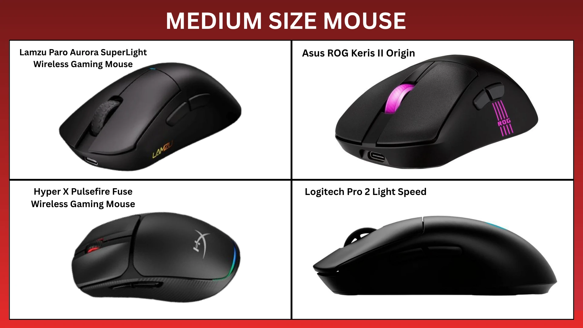 Medium Size